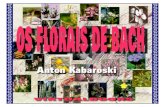 florais de bach2 · 2020. 7. 15. · doença mental, está no medo. Dr. Edward Bach O Dr. Edward Bach O Dr. Edward Bach nasceu em 1886, no povoado de Moseley, perto de Birmingham,