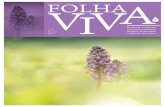 nº 65 jun agst 2019 - Life Biodiscoverieslifebiodiscoveries.pt/sites/default/files/folha_viva_n65_lowres3.pdf · • Terra para plantas • Sementes ou plantas em vaso A VIDA SECRETA