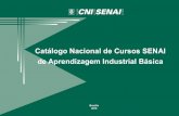 Catálogo Nacional de Cursos SENAI de Aprendizagem Industrial …arquivos.portaldaindustria.com.br/app/conteudo_24/2012/... · 2015. 10. 20. · Diretor-Geral Regina Maria de Fátima