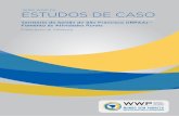 ESTUDOS DE CASO - IRPAA · 2017. 1. 26. · de extrema pobreza (rendimento domiciliar per capita de até R$ 77), e o Fomento Semiárido, para famílias em situação de pobreza (rendimento