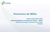 Panorama do Milho - gov.br · Panorama do Milho Thomé Luiz Freire Guth Superintendência de Gestão da Oferta –Sugof Gerência de Produtos Agropecuários-Gerpa Gerente. 2014/2015