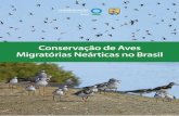 Conservação de Aves Migratórias Neárticas no Brasil · os esforços de conservação de mais de 80 espécies de aves migratórias neárticas que dependem de habitats brasileiros.