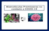Biomoléculas Promissoras no combate a COVID-19cfq.org.br/wp-content/uploads/2020/06/CRQ-CFQ-2020.pdf · Na busca de compostos bioativos promissores ao combate de CoVID-19 - Inibidores