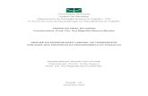 Universidade de Brasília IV Turma do Curso de Especialização em …bdm.unb.br/.../10483/8398/1/2013_RicardoFavaCorsatto.pdf · 2014. 9. 16. · Fonte: Departamento de Taquigrafia