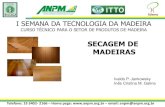 SECAGEM DE MADEIRAS - Home - PIMADS - Secagem de... · 2017. 2. 17. · 7. manutenÇÃo do secador a manutenÇÃo preventiva do secador deve ser feita nos mesmos moldes da manutenÇÃo