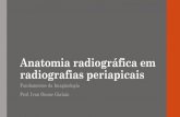Anatomia radiográfica em radiografias periapicaisacademico.ononeprotetores.com.br/wp-content/... · Benefício para o paciente. Anatomia do elemento dental e periodonto Diferentes