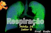 Móds. 26 Setor B...Controle da respiração: centro respiratório (CR), localizado no bulbo (medula oblonga) [CO 2] alta, [O 2] baixa, pH < 7,36 (acidose) [CO 2] baixa, [O 2] alta,