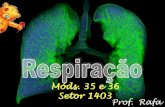 Móds. 35 e 36 Setor 1403...Controle da respiração: centro respiratório (CR), localizado no bulbo (medula oblonga) [CO 2] alta, [O 2] baixa, pH < 7,36 (acidose) [CO 2] baixa,
