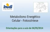 Metabolismo Energético Celular - Fotossíntese · 2014. 9. 4. · Metabolismo Energético Celular - Fotossíntese Orientações para a aula de 04/09/2014. ... gás oxigênio na fotossíntese.