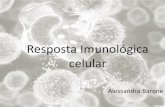Resposta Imunológica humoral - Professores de Biomedicinaintegrina LFA-1 –Ativação do CTL e liberação de proteínas citotóxicas no anel sináptico formado entre as duas células