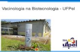 Vacinologia na Biotecnologia - UFPel · 2011. 10. 20. · Leptospira noguchii and Human and Animal Leptospirosis, Southern Brazil. Emerging Infectious Diseases, v. 15, p. 621-623,