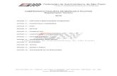 Federação de Automobilismo de São Paulofaspnet.com.br/sis_wp/regulamento/regulamento_185_tec.pdf · 2019. 2. 4. · Peugeot: 12.100 gramas Renault: 8.950 gramas Citroen: 12.100