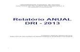 Relatório ANUAL DRI - 2013 · 2019. 3. 15. · A finalidade deste relatório é expor as atividades desenvolvidas pela equipe da Diretoria de Relações Internacionais e Interinstitucionais