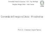 Conversão de Energia na Célula - Mitocôndrias€¦ · Conversão de Energia na Célula - Mitocôndrias Prof: Dr. Cleverson Agner Ramos Universidade Federal do Amazonas –ICB –Dep.