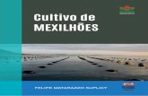 Cultivo de mexilhões - Santa Catarinadocweb.epagri.sc.gov.br/website_epagri/Cedap/Livro/4...Empresa de Pesquisa Agropecuária e Extensão Rural de Santa Catarina (Epagri) Rodovia