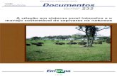 1 de 36 - produccion animalproduccion-animal.com.ar/produccion_carpinchos/72... · 2010. 9. 20. · A criação de animais da fauna silvestre brasileira tem grande . importância,