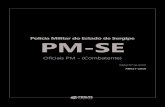 Polícia Militar do Estado de Sergipe PM-SE · Edital Nº 04/2018 AB017-2018. DADOS DA OBRA Título da obra: Polícia Militar do Estado de Sergipe - PM-SE ... 05/05/2005, e dispositivos