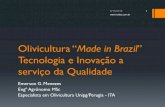 Olivicultura Made in BrazilInovação do processo de extração Objetivo:melhorar às propriedades nutricionais e sensoriais do azeite extra virgem Controle da autooxidação endógena