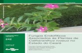 Fungos Endofíticos 242 Associados às Plantas de ......Fungos Endofíticos Associados às Plantas de Catharanthus roseus no Estado do Ceará1 Introdução Catharanthus roseus (L.)