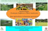 Agroecologia, Produção Orgânica e Meio Ambiente: Que agricultura … · 2020. 4. 3. · responsabilidade na produção e consumo sustentáveis. ... prioritários os públicos da
