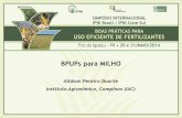 BPUPs para MILHO - NPCT...Aumento de Produtividade x Custo do Fertilizante Custo Receita Preço do Milho R$ 18,00 24,00 RELAÇÃO CUSTO/BENEFÍCIO NUTRIENTE RELAÇÃO DE TROCA Nitrogênio