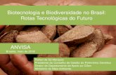 Biotecnologia e Biodiversidade no Brasil: Rotas ......Sim. A Lei nº 13.123/2015 dispensou toda e qualquer atividade de pesquisa e desenvolvimento de apresentação de contrato de