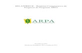 RELATÓRIO B – Relatório Compreensivo de Progresso do ...arpa.mma.gov.br/wp-content/uploads/2016/01/Relatorio-B_revisadodez2015.pdfincluindo 6,5 milhões de hectares de UC ainda