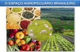 O ESPAÇO AGROPECUÁRIO BRASILEIRO · 2020. 9. 14. · •Hoje a atividade primária fundamental é a agropecuária, porém ela ocupa apenas cerca de 30% do território nacional.