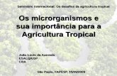 Os microrganismos e sua importância para a Agricultura ... · Espécie Nº Conhecido Nº Estimado NC/NE % Bactéria 4 700 40 000 11,0 Fungo 69 000 1 500 000 4,6 Alga 40 000 60 000
