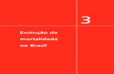 Evolução da mortalidade no Brasilbvsms.saude.gov.br/.../partes/saude_brasil2004_capitulo3.pdf · 2009. 2. 19. · Diferentemente do sistema de nascimentos do registro civil, cujo