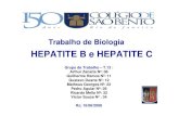 Colégio de São Bento do Rio de Janeiro - HEPATITE B e HEPATITE Ccsbrj.org.br/FRAGOSO/T213HepatiteBeC.pdf · 2008. 8. 22. · O período de incubação da Hepatite C é de mais ou