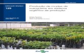 Produção de mudas de 129 mangueira em sistema orgânico de … · 2020. 5. 8. · Produção de mudas de mangueira em sistema orgnico de produção 3 de doenças e da tolerância