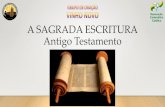 A SAGRADA ESCRITURA Antigo Testamento · 2020. 5. 25. · Testamento (AT) e 27 no Novo Testamento (NT). •A coletânea de Livros que compõem o AT provém da Septuaginta (tradução