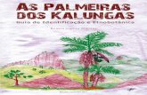 Renata Corrêa Martins - Museu do Cerrado · As palmeiras dos kalungas: guia de identificação e etnobotânica Apresentação da autora No desejo de compreender a Flora do Cerrado