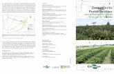 Elaboração: Eufran Ferreira do Amaral Zoneamento Engenheiro … · 2019. 12. 18. · e recomendadas para o café, em termos de clima e solo, reforçando o maior potencial para o