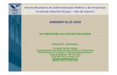 Roberto Guimaraes - Dimensoeseventos.ambientalis.com.br/hp/pdf/Roberto Guimaraes... · 2009. 4. 6. · AS DIMENSÕES DA SUSTENTABILIDADE - Roberto P. Guimarães - Fundação Getulio