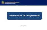 Instrumentos de Programaçãoplanejamento.rs.gov.br/upload/arquivos/201512/15134101... · 2018. 9. 5. · Instrumento de programação para alcançar o objetivo de um programa, envolvendo