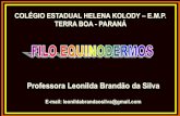 Professora Leonilda Brandão da Silva...2013/11/09  · Geralmente possui espinhos na pele. A superfície do corpo é recoberta por epiderme, abaixo da qual está o esqueleto, formado