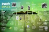 A evolução BRASIL · 2018. 5. 2. · delas e o Novo Testamento para 38. A primeira tradução foi a Bíblia em Waiwai (2002) e a mais recente é a Bíblia em Kaingang (2012). Fundada