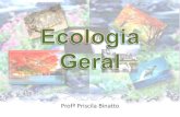 Profª Priscila Binatto - WordPress.comEcologia da Paisagem: definição e conceitos. Biomas terrestres e aquáticos. Síntese dos Objetivos Compreender os fundamentos básicos da