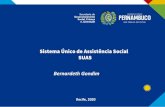 Sistema Único de Assistência Social SUAS - Pernambuco · 2020. 3. 10. · servidores, ou a outorga de bens para o empoderamento de agricultores familiares, ... Programa BPC Trabalho