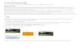 EmbeddedSW - Home - BMP GIF JPEG TIFF · 2017. 11. 24. · Clique em “OK”, verifique o relatório e então feche a caixa de diálogo clicando no botão “Done”: Pronto! A imagem