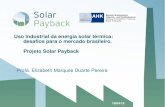 Uso Industrial da energia solar térmica: desafios para o mercado … · 2018. 5. 5. · Projeto Solar Payback •O projeto parte de uma abordagem sistêmica, para avaliação da