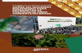 Cronologia de um desastre anunciado: AÇÕES DO ......2020/09/02  · Diretor Região Norte - Rodrigo Amaral Araújo de Lima (Ibama) Associação Nacional dos Servidores de Meio Ambiente
