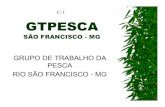 C-1 GT Pesca Presentation - port - World Fisheries Trust VII/C-1 GT...XII – Policia Militar de Minas Gerais PMMG - Ambiental XIII – Universidade Estadual de Montes Claros - Unimontes