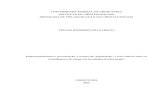 UNIVERSIDADE FEDERAL DE UBERLÂNDIA INSTITUTO DE …€¦ · F797 Fracarolli, Thiago Henrique, 1989- 2019 Empreendedorismo e precarização, o avanço da “pejotização” e seus