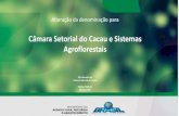 Câmara Setorial do Cacau e Sistemas Agroflorestais · Agrofloresta 2018-2020 Serviço Florestal Brasileiro –SFB World Cocoa Foundation - WCF World Resource Institute -WRI Rota