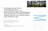 Integração dos serviços de ecossistema no processo de ... · Aplicação às florestas de Pinus sp. ... Fig.8 - Gráfico representativo da situação atual relativa à integração