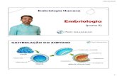 Embriologia Humana · 2020. 10. 16. · Equinodermos Cordados Características embrionárias presentes nos principais filos animais. EMBRIOLOGIA ANIMAL EMBRIOLOGIA ANIMAL 7 8. 10/10/2020