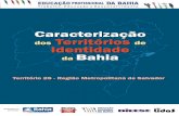 Caracterização Territórios de Identidade Bahia · dos Territórios de Identidade da Bahia LiinstitutodaS. Caracterização dos Territórios de Identidade ... ou mais (2000) Taxa